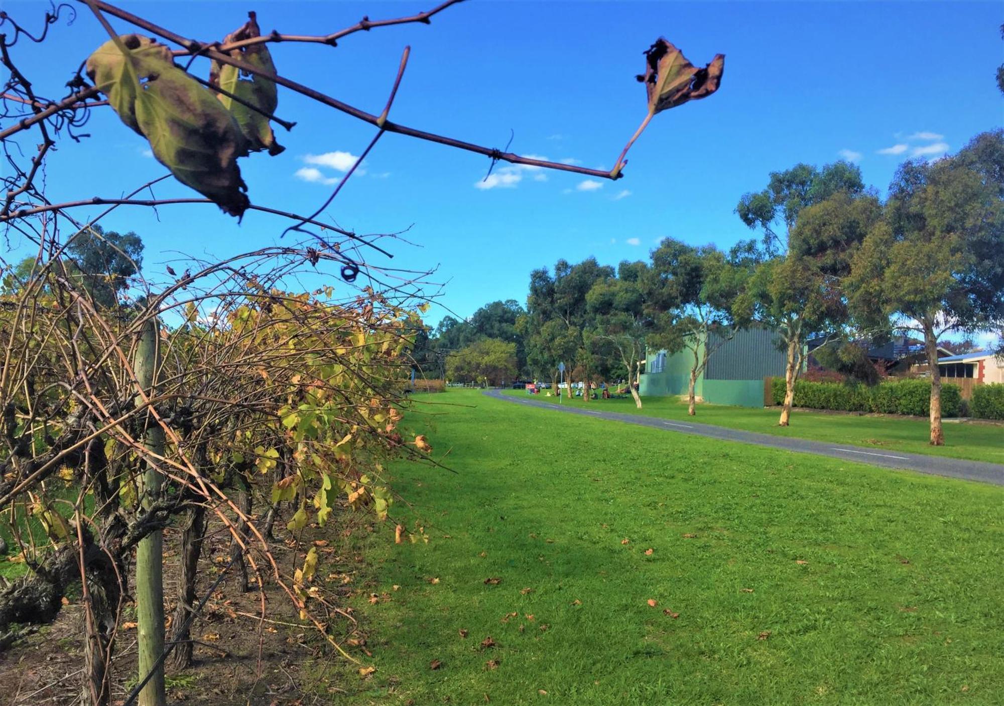 Apartment Mclaren Vale Studio Apartments